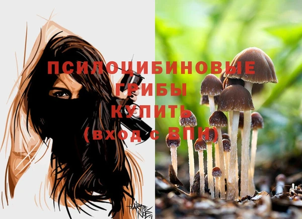 тгк Магадан