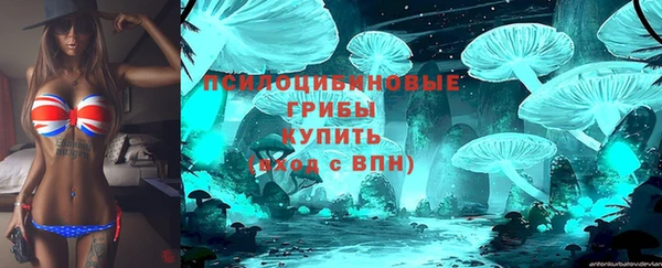 тгк Магадан
